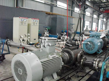 嚴格檢驗標準試驗 嚴格檢驗標準試驗