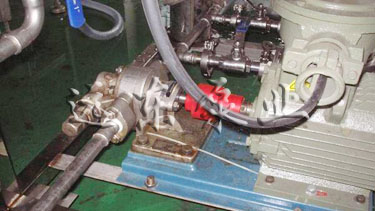 遠東不銹鋼齒輪泵在藍月亮現場展示 遠東不銹鋼齒輪泵在藍月亮現場展示