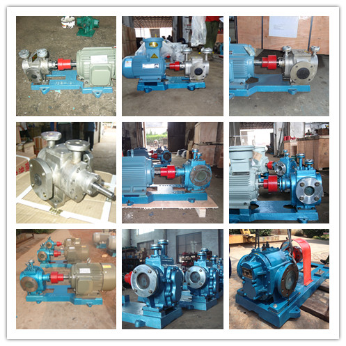 RCB保溫齒輪泵系列 RCB保溫齒輪泵系列