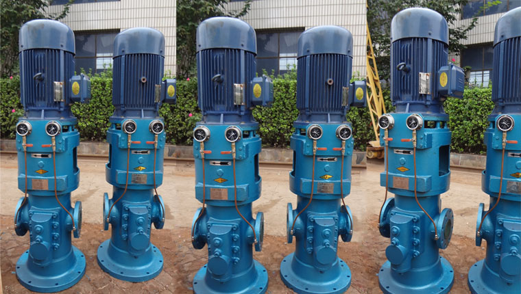 SMS立式螺桿泵實物圖