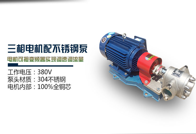 KCB不銹鋼齒輪油泵