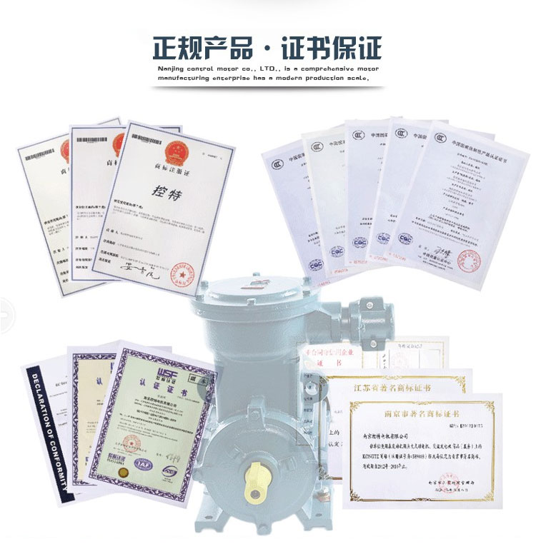 KCB防爆齒輪式輸油泵 KCB防爆齒輪式輸油泵