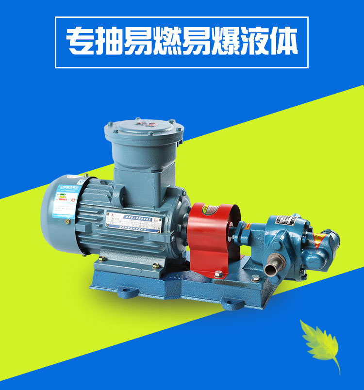 KCB防爆齒輪式輸油泵 KCB防爆齒輪式輸油泵