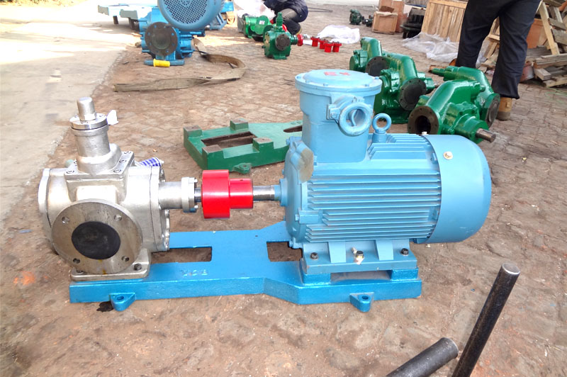 不銹鋼齒輪泵 不銹鋼齒輪泵