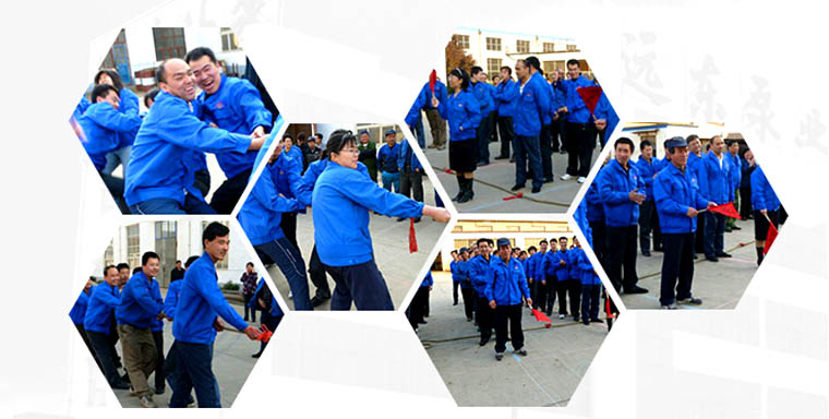 YCB圓弧齒輪泵 YCB圓弧齒輪泵