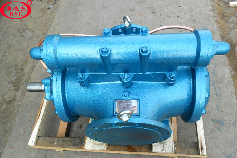 3GS100×2W21 3GS100×2W21