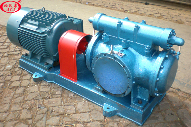 3GS100×2W21 3GS100×2W21