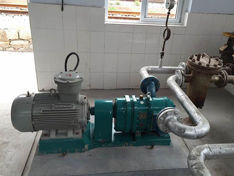 凸輪轉子泵 凸輪轉子泵