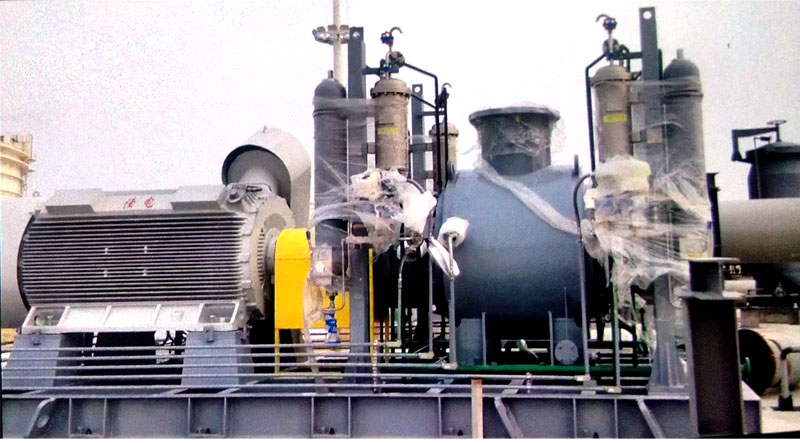 帶沖洗密封雙螺桿泵 帶沖洗密封雙螺桿泵