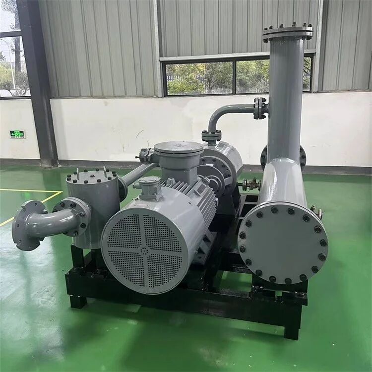 油氣混輸雙螺桿泵 油氣混輸雙螺桿泵