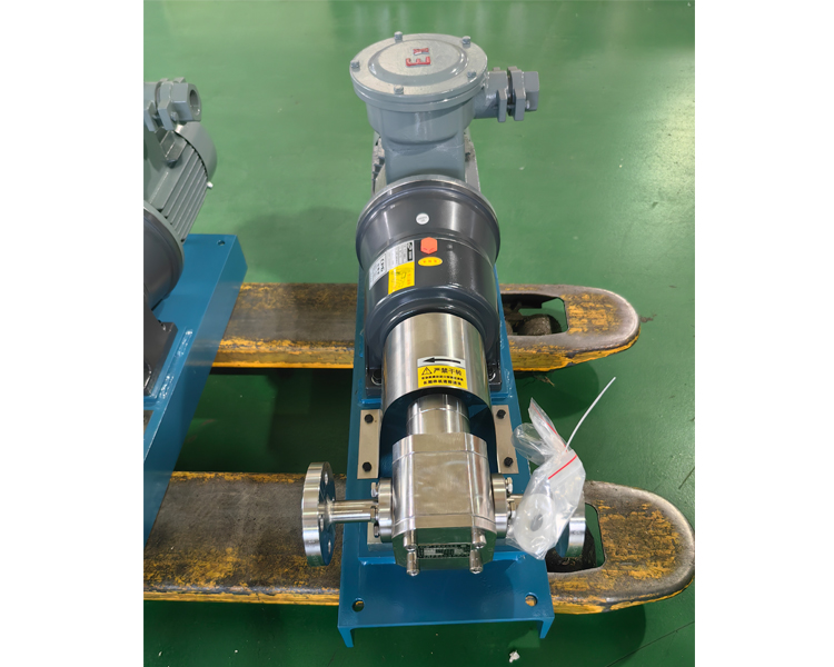 不銹鋼齒輪泵 不銹鋼齒輪泵