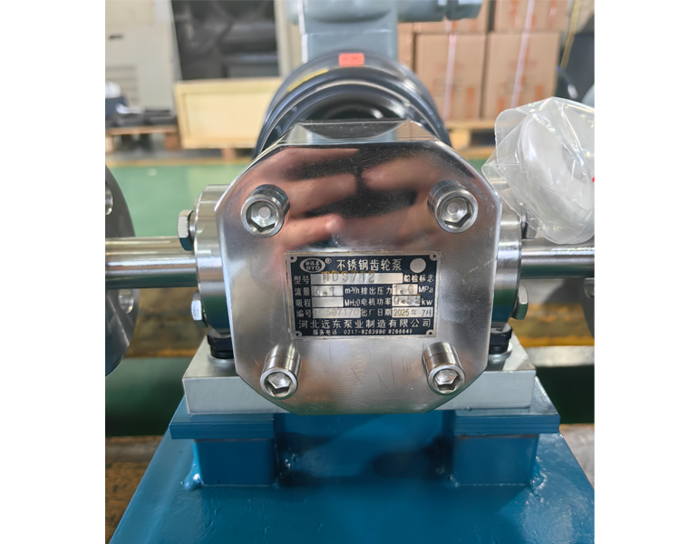 不銹鋼齒輪泵 不銹鋼齒輪泵