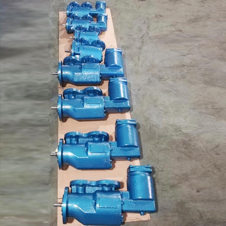 SPF20R46G10FW2螺桿泵配套燃油鍋爐供油泵用自帶過(guò)濾器 SPF20R46G10FW2螺桿泵配套燃油鍋爐供油泵用自帶過(guò)濾器