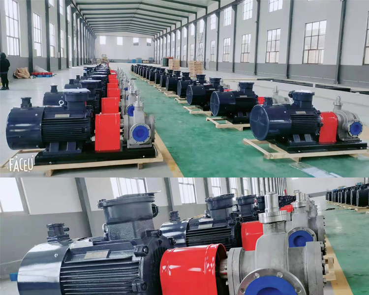 遠東泵業為國外用戶定制的雙向不銹鋼齒輪泵KCB1600防爆齒輪泵50臺
