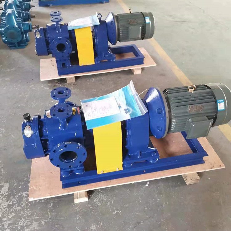 桔水抽料泵NYP225B-RU-104U-W11G高粘度羅茨泵 桔水抽料泵NYP225B-RU-104U-W11G高粘度羅茨泵