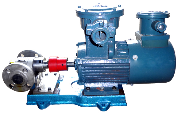 變頻調速不銹鋼齒輪泵